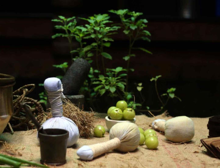 Rediscover Wellness: Embracing the Ancient Wisdom of Shankar Ayurveda